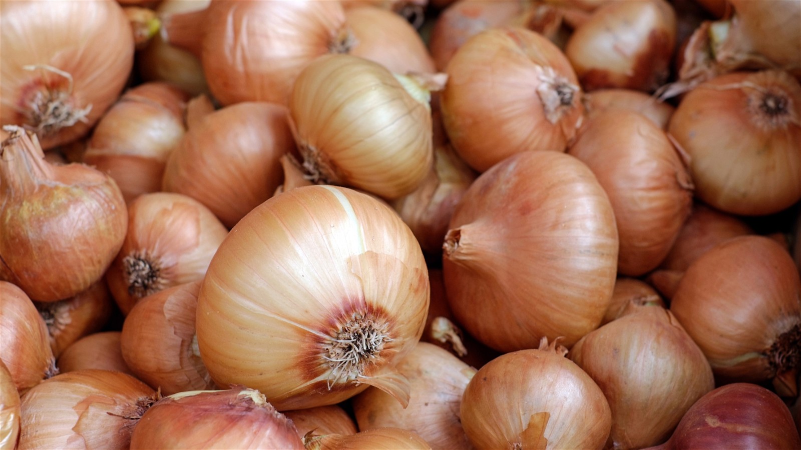 Sweet Onion Tart