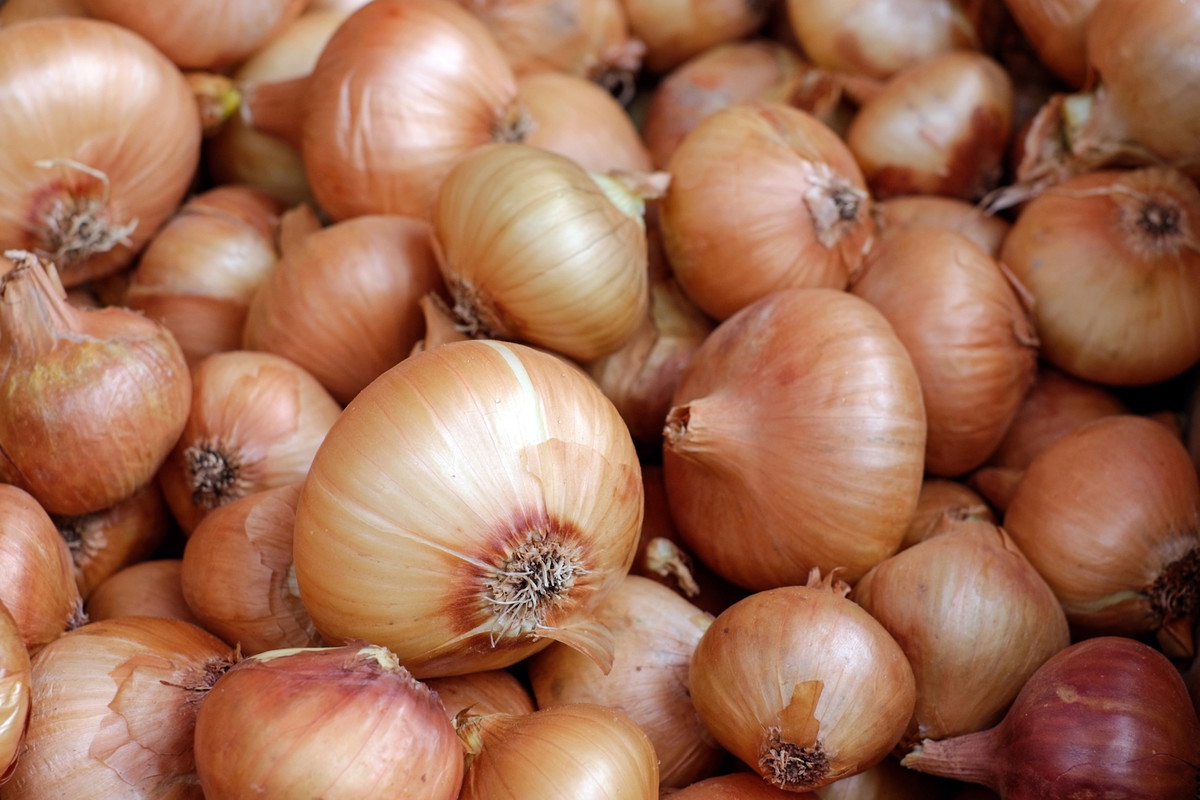 Sweet Onion Tart
