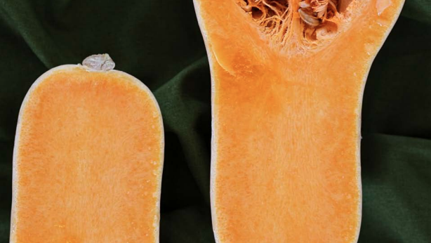 Butternut Squash Salad