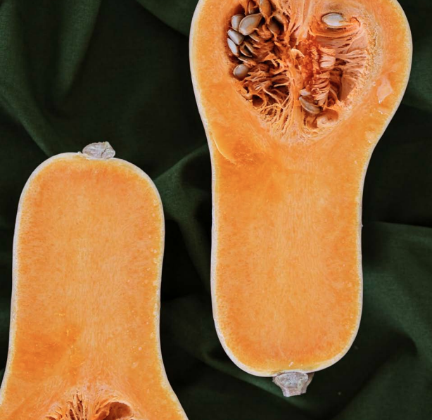 Butternut Squash Salad