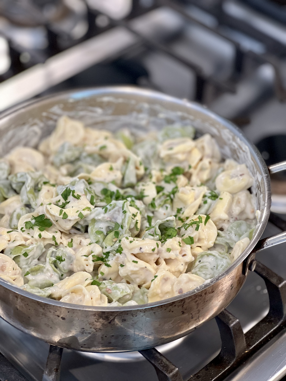 Garlic Alfredo Tortellini