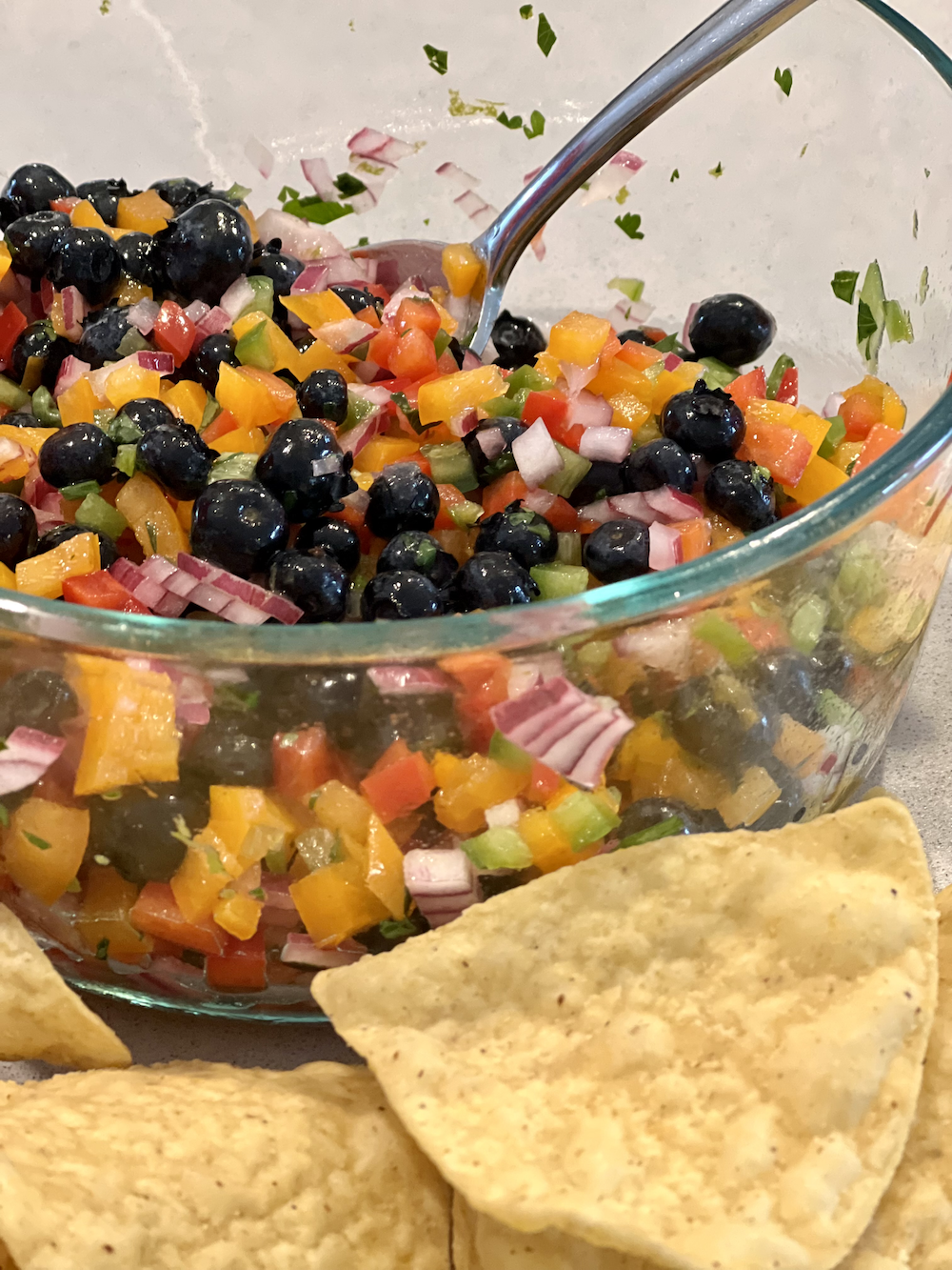 Blueberry Salsa