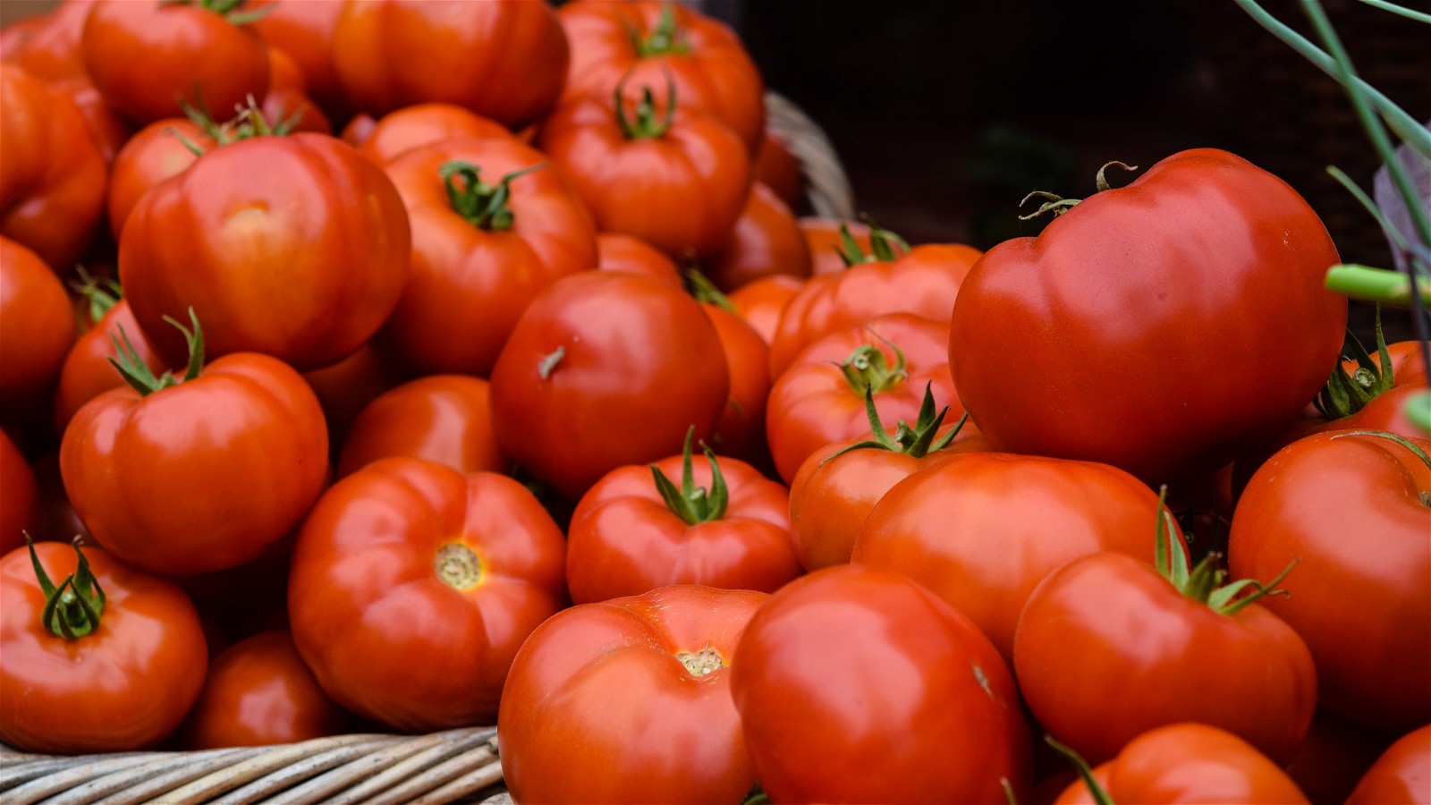 Grilled Tomatoes with Tahini Dressing
