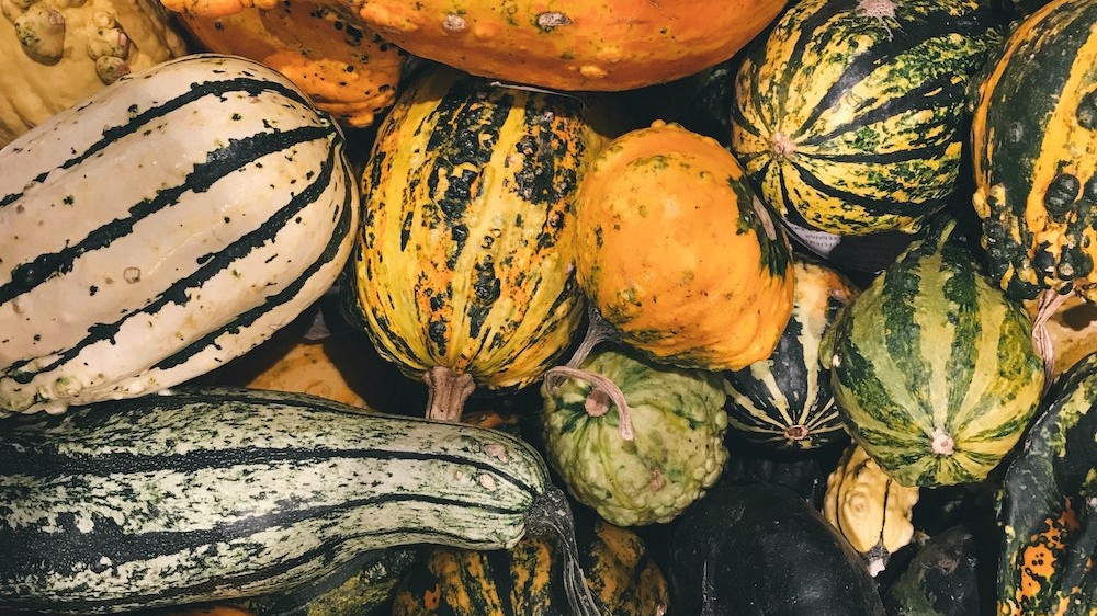 Cider Glazed Delicata Squash