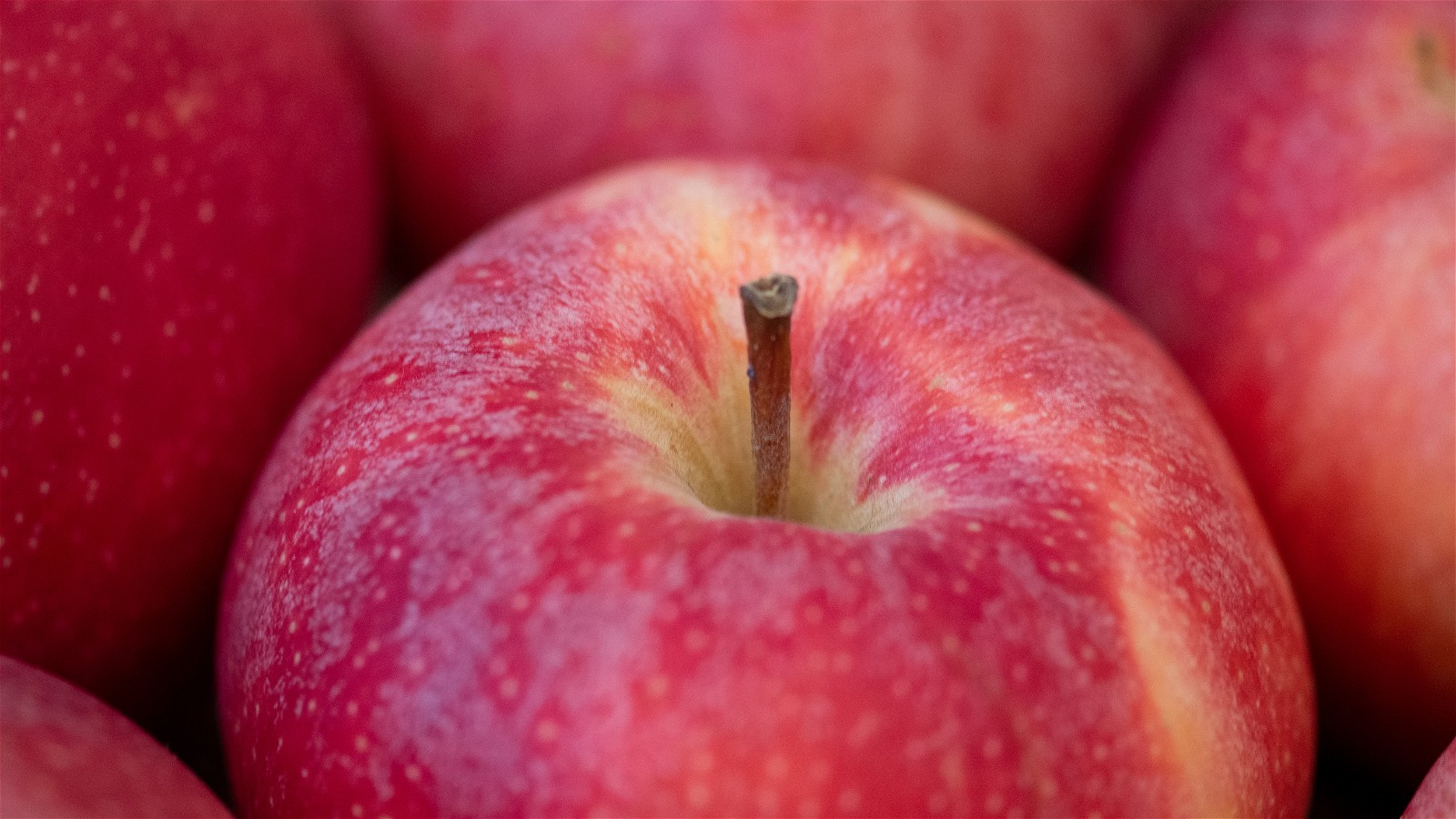 Image of Pancetta Sautéed Apples