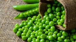 Image of Pea and Basil Soup