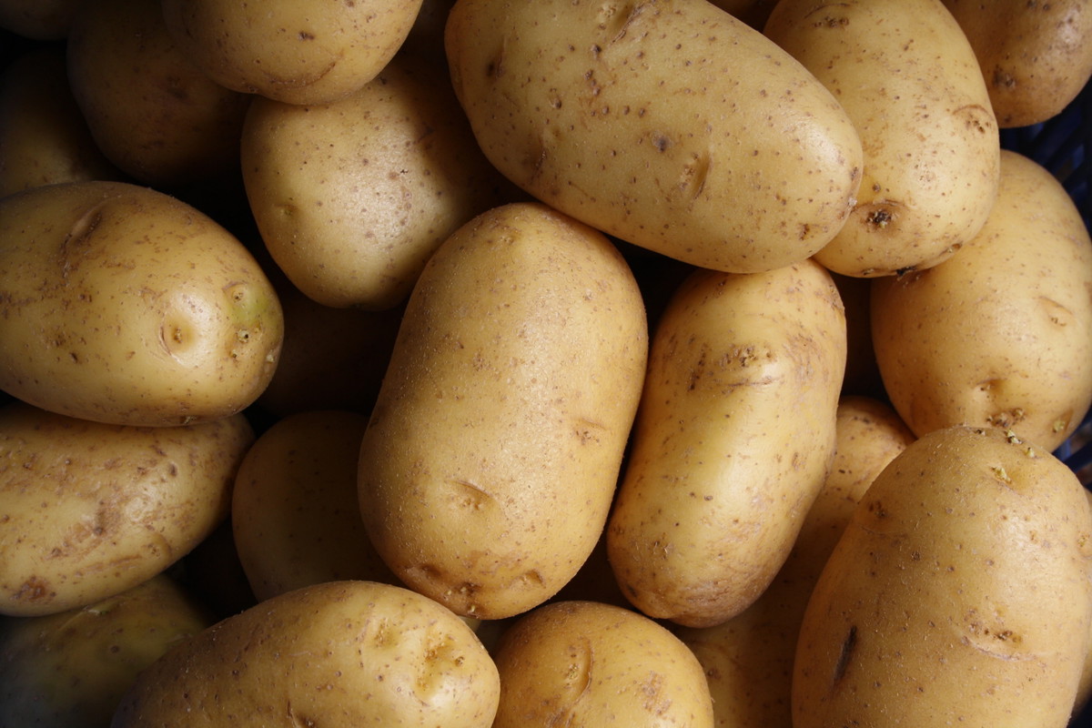 Cream Of Potato Soup