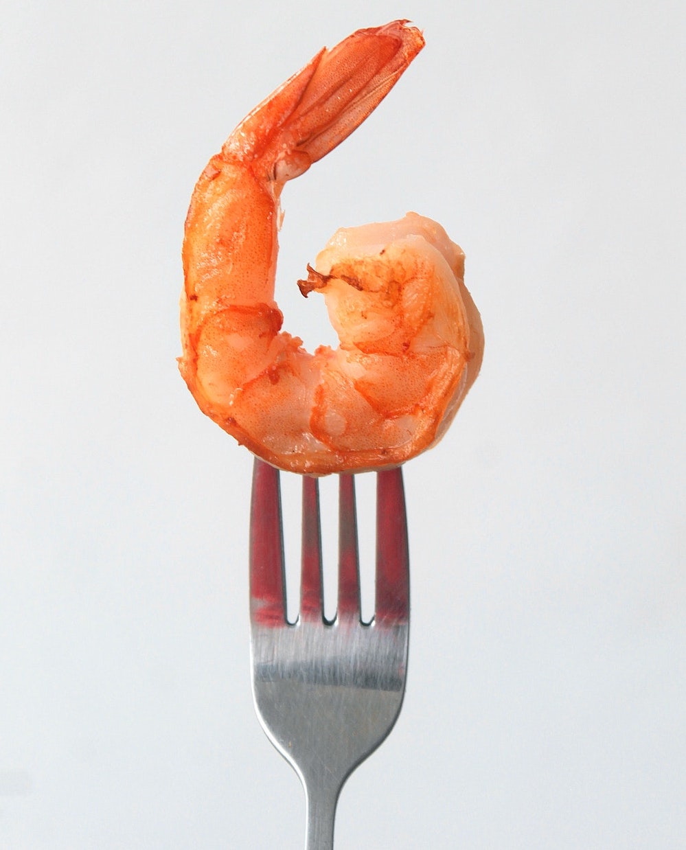 Shrimp and Mango Salad