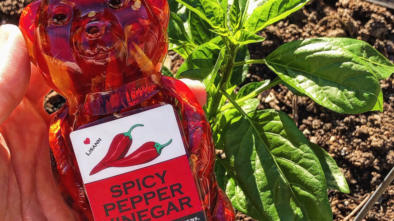 Image of Spicy Pepper Vinegar