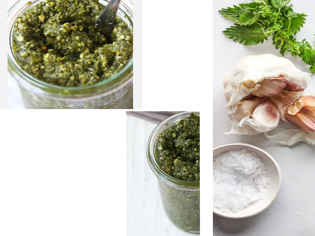 Stinging Nettle & Wild Porcini Pesto Recipe
