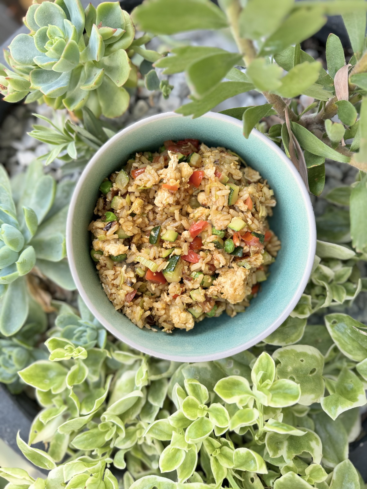 Veggie packed Fried Rice