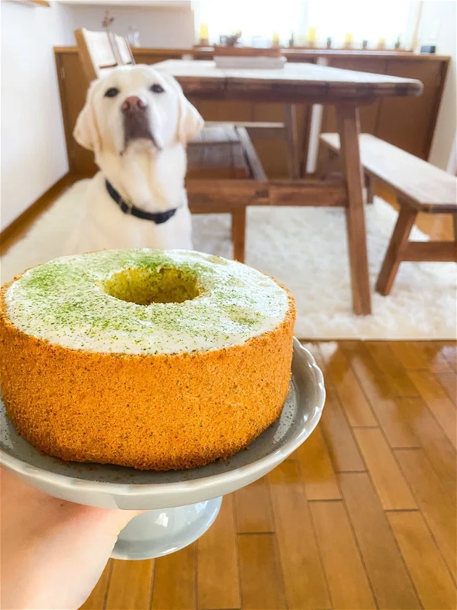 Image of 愛犬と一緒に食べられる「小松菜のシフォンケーキ」