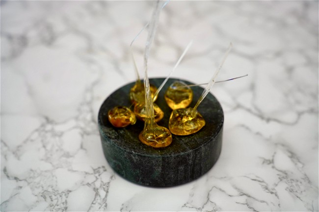 Image of Olive Oil Hard Candy