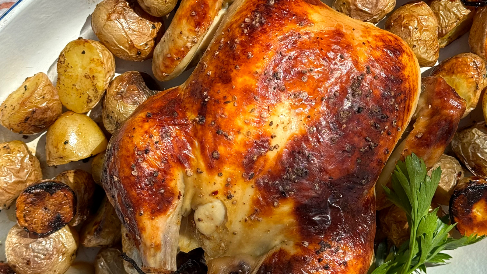 brined roast chicken surrounded by potatoes