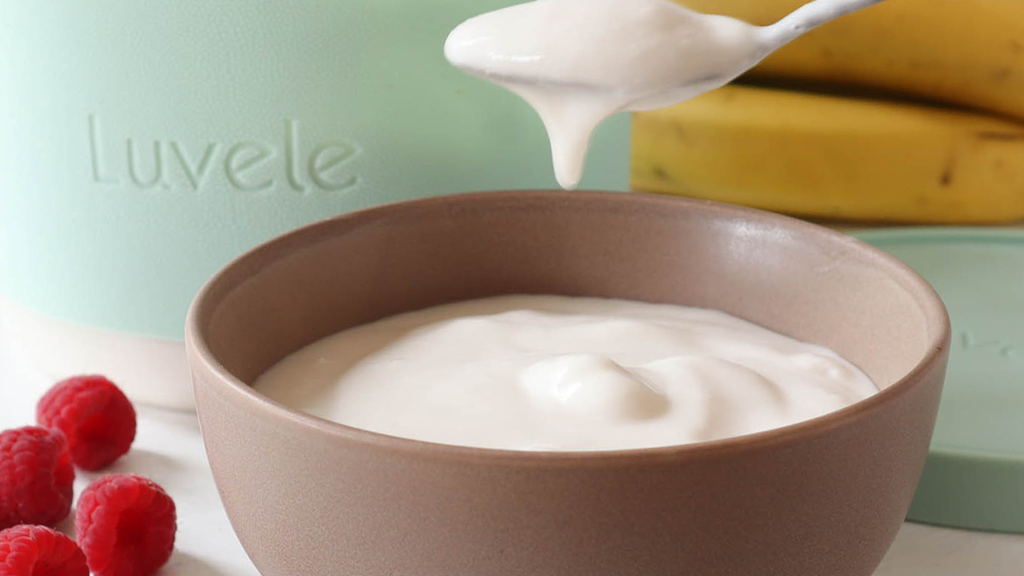Image of SCD & GAPS coconut yoghurt recipe