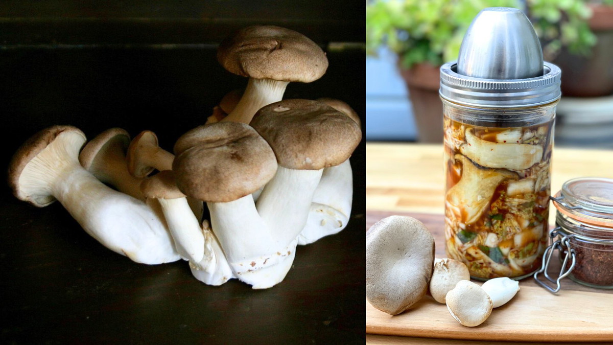 Kimchi with King Trumpet Mushrooms