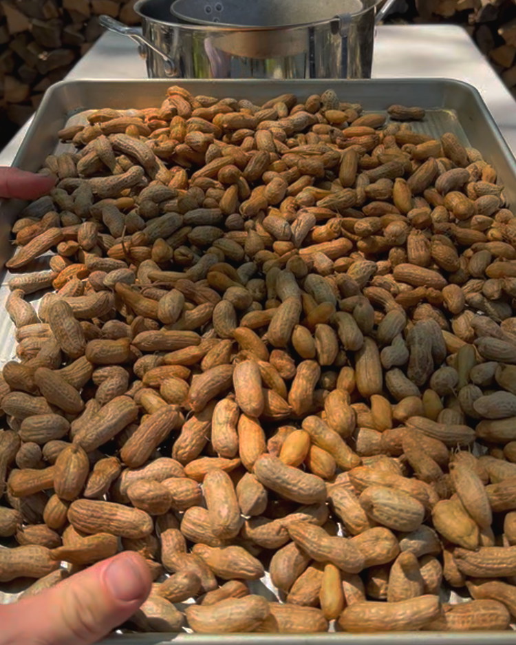 Image of When your peanuts reach your desired doneness, get them out of the water, let them cool then stick them in the fridge until they’re chilled. Boiled peanuts are good hot, but when they’re chilled, they worth fighting your sister for…