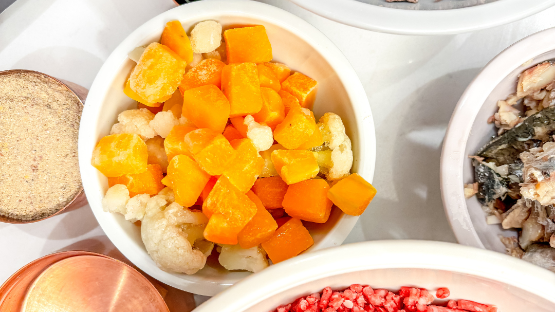 Homemade Puppy Food Recipe - Dog Child