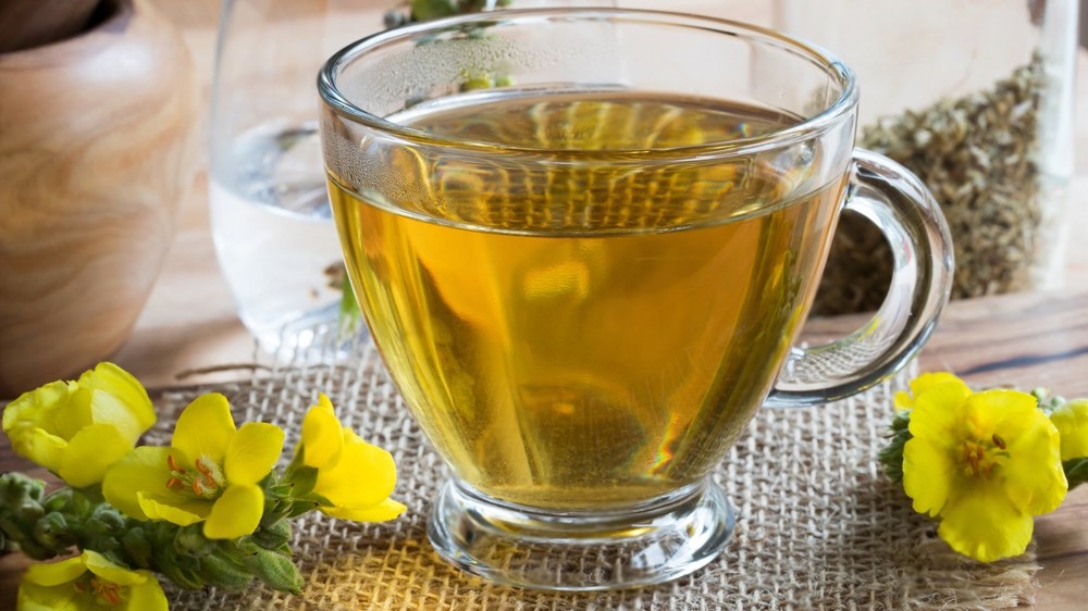 Image of A Tea Life Favourite - The Berry Mullein Tea Recipe