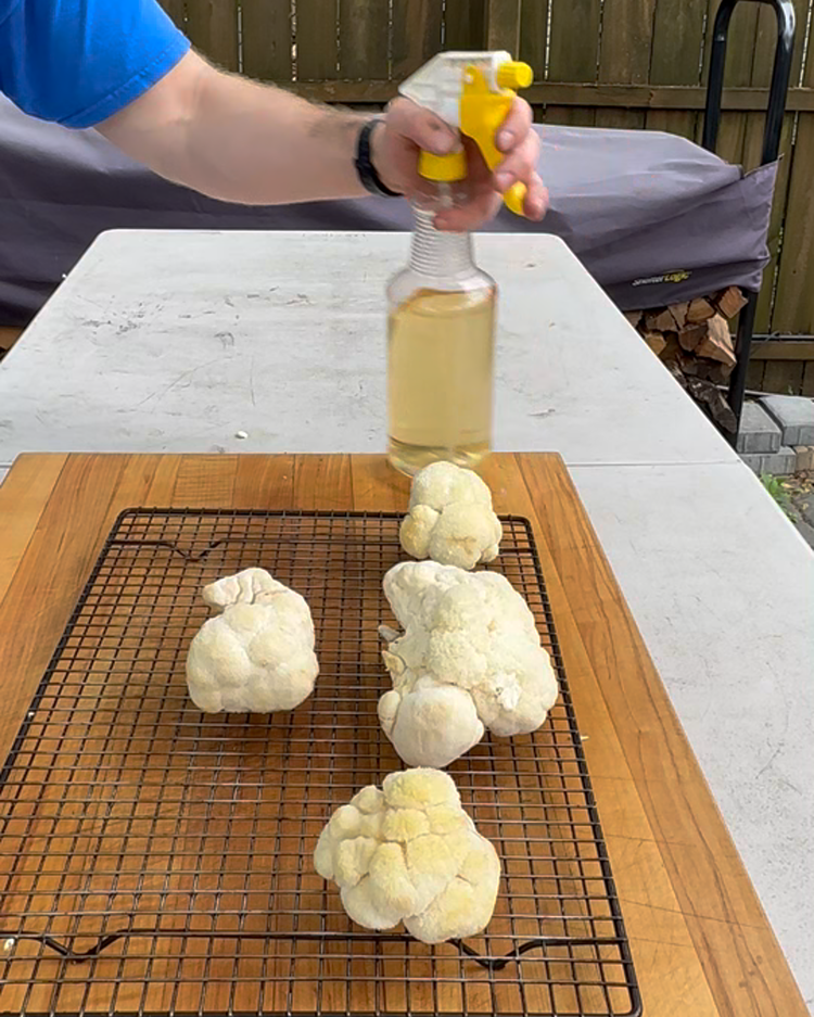 Image of Place your mushpuppies on a wire rack. In the video, I spritz with apple cider vinegar at this point. This added some nice flavor, but it was unnecessary. I left it out the recipe because I spritzed throughout the cook,...