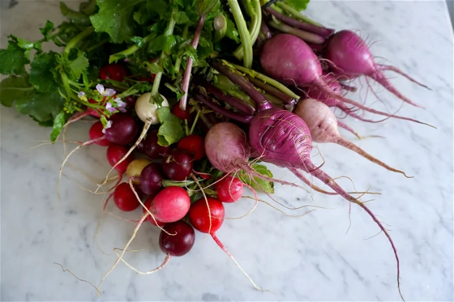 Image of Fish Sauce Pickled Radishes
