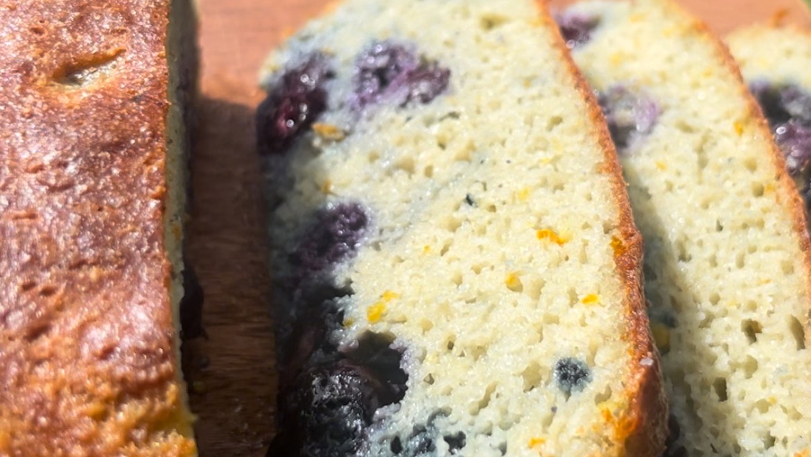 Image of GF Protein Packed Blueberry Loaf