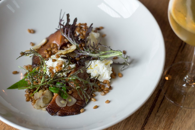 Image of sautéed pine mushrooms, pickled rye grains & goat curd