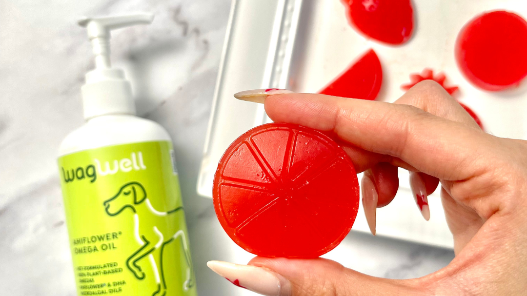 Image of Watermelon Ahiflower Dog Gummy Recipe 