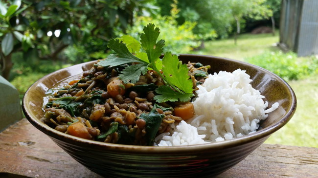 Image of persian lentil stew