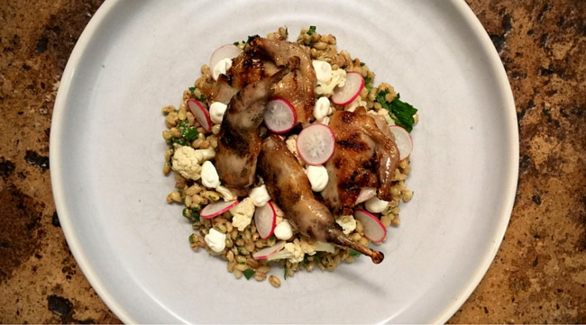 Image of grilled quail & barley salad