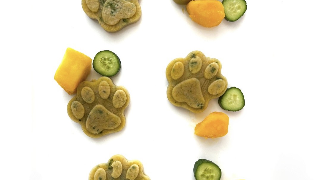 Image of 5 Minute Homemade Dog Food Topper Salmon, Mango & Cucumber
