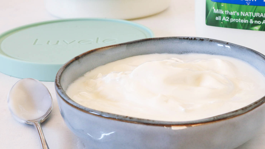 Image of Easy to digest homemade A2 milk yogurt recipe