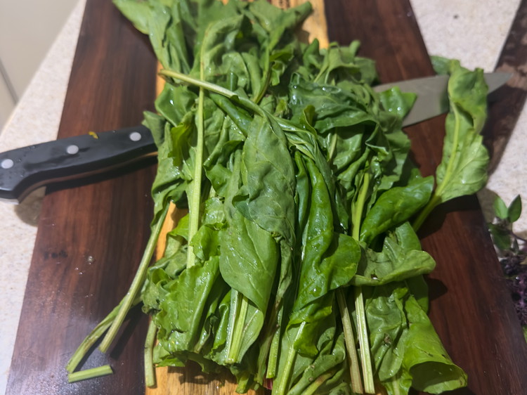 Image of Prep your beets. Wash the beets and greens well and remove any spots. Slice the beets into ½ inch chunks and do the same with the beet stems and set aside. For the greens, bunch them all together and slice...