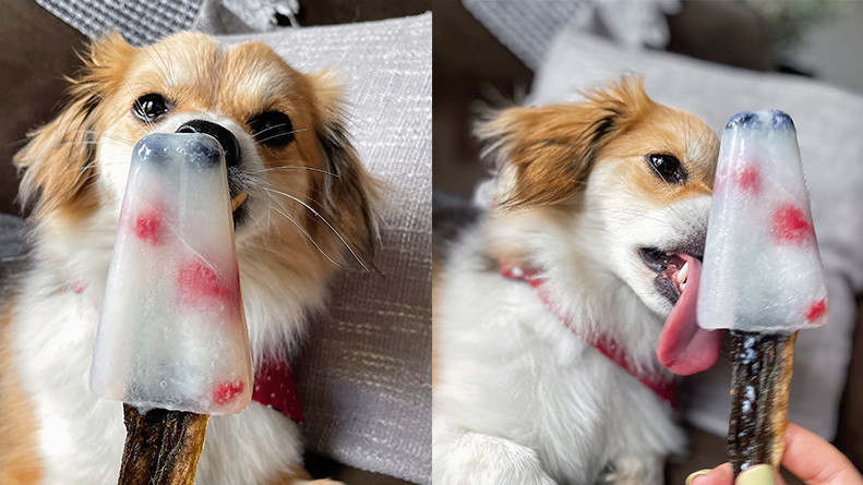 Image of Red, White & Blue Pupsicles - Frozen Dog Treat