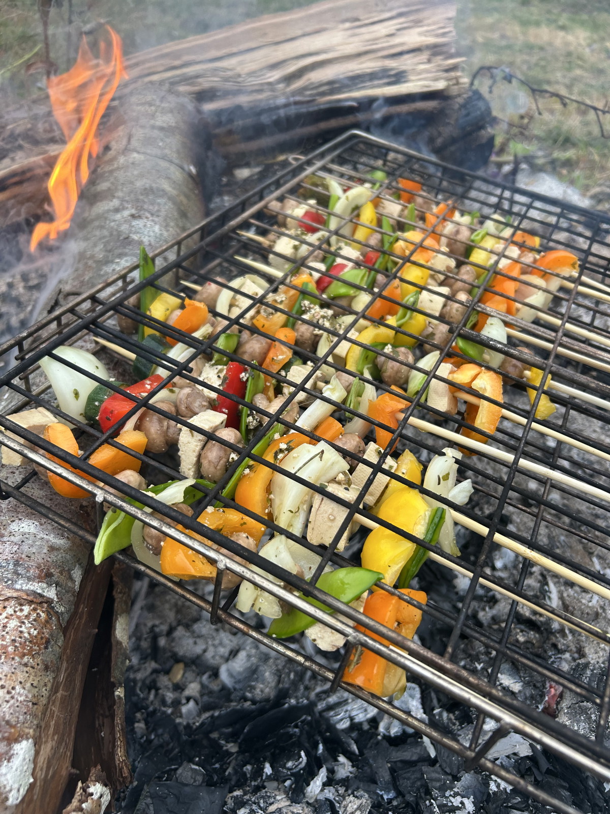 Vegan Kabobs