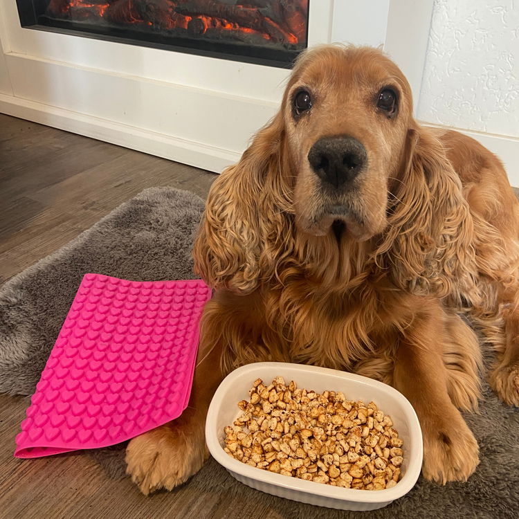 Image of Fertig sind die selbstgemachten Leckerlis für Hunde!