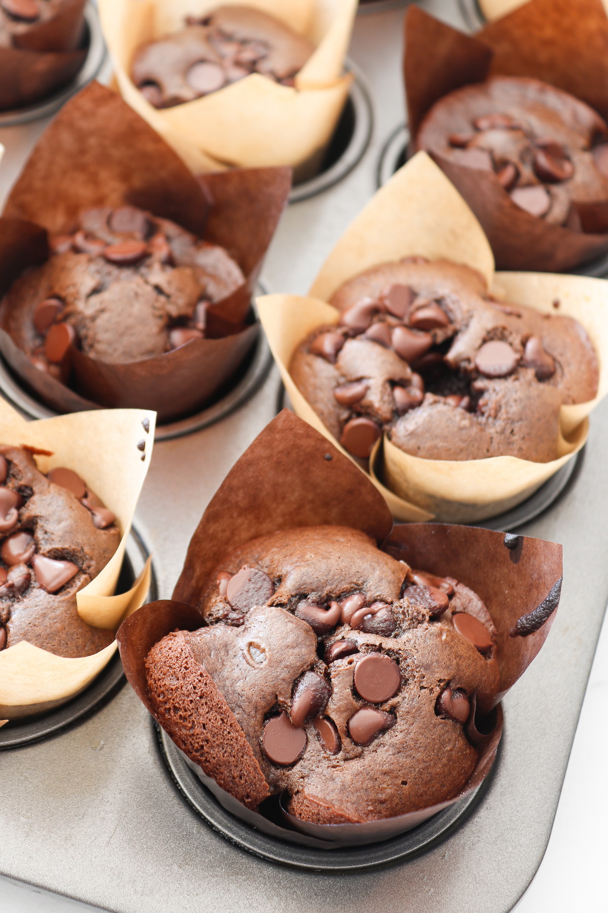 Double Chocolate Chip Muffins