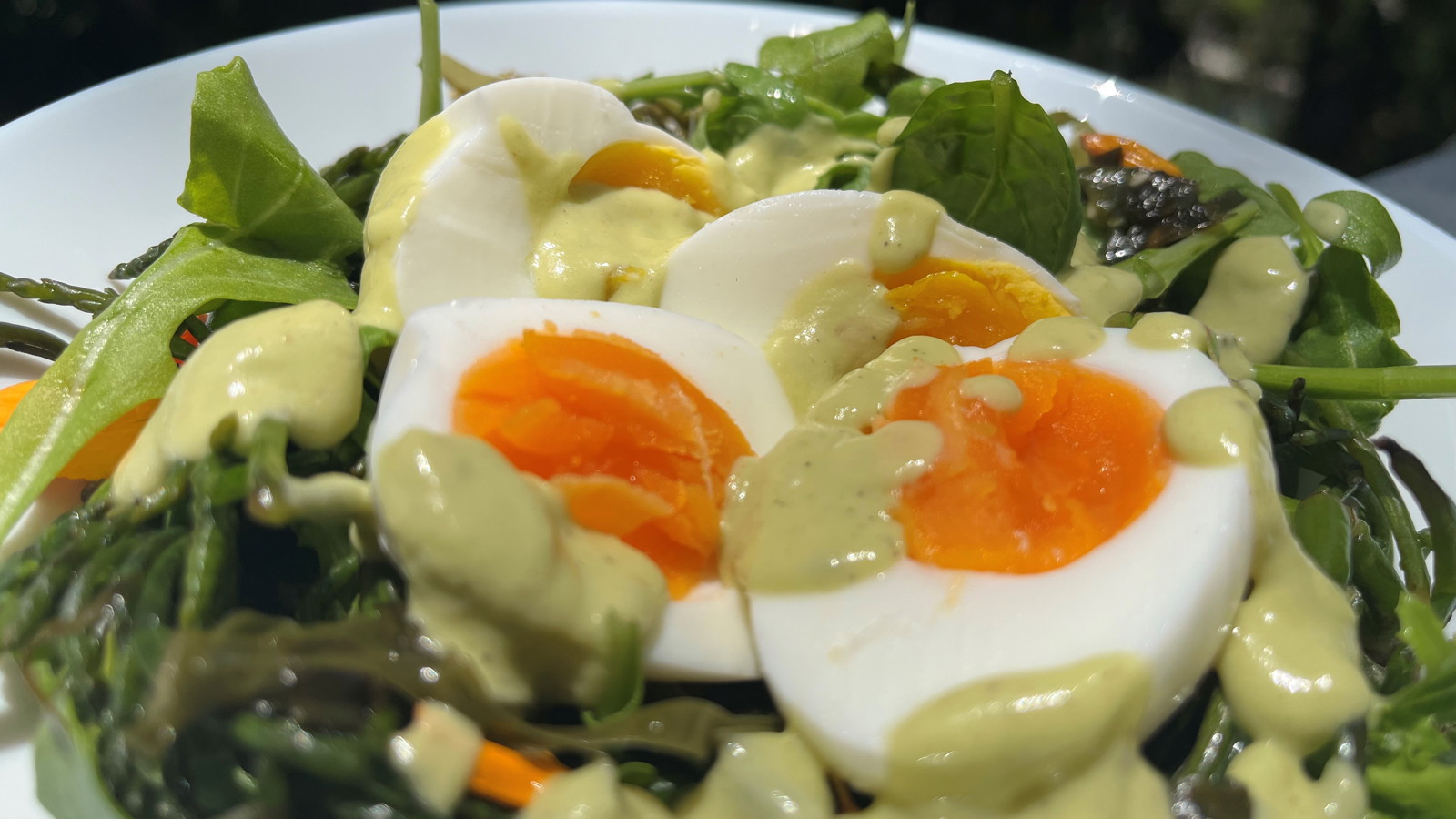 Image of Sea Vegetable Salad with Eggs