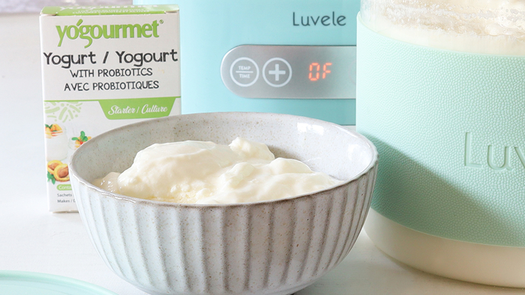 Image of How to make Yogourmet probiotic yogurt at home