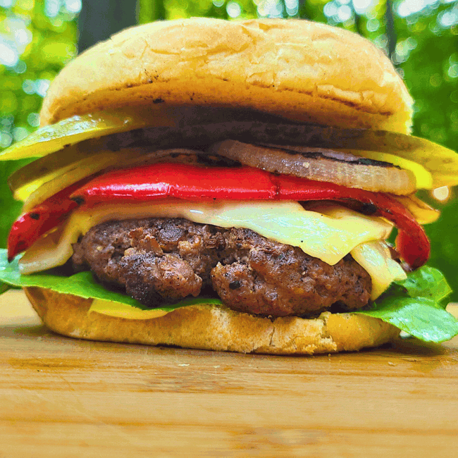 Elk burger on a bun with grilled veggies