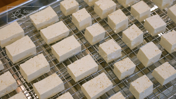 Image of Cover the tofu with the other baking tray to retain the moisture. Leave this at room temperature for 2-3 days. Feel free to open it anytime and take a look. Don't forget to Label it so you can track the time.