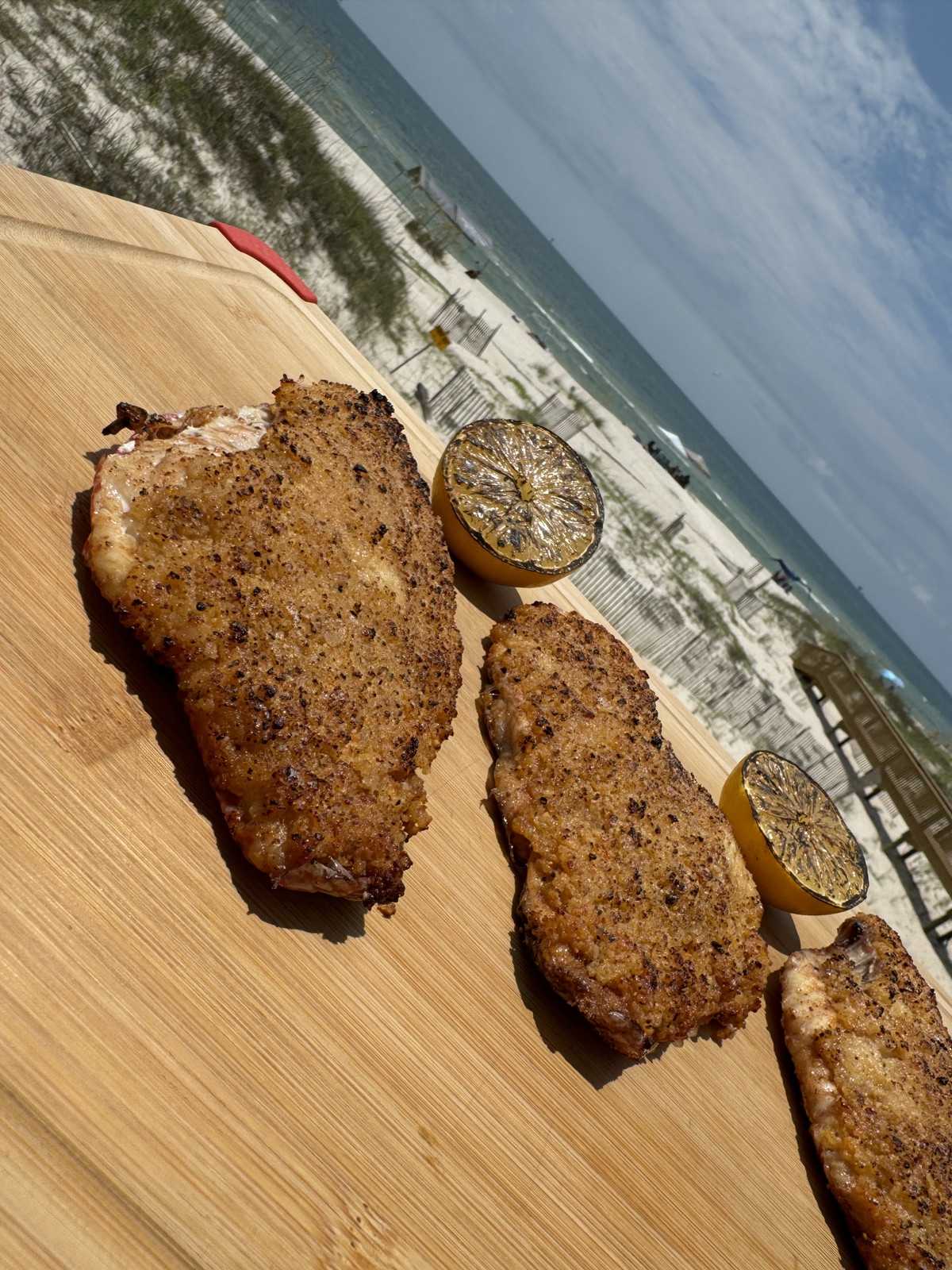 Grilled Panko Crusted Red Snapper on the Half Shell!
