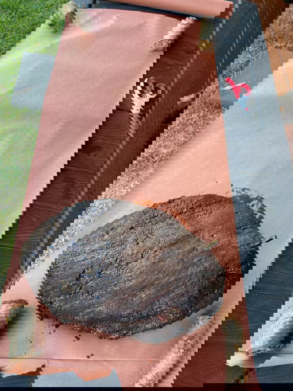 Image of To wrap aka Texas crutch. When the surface or bark of the brisket can be scratched and the rub doesn’t slide off and it has a dry appearance you can check the internal temp. At around 175°F or 74C, you...