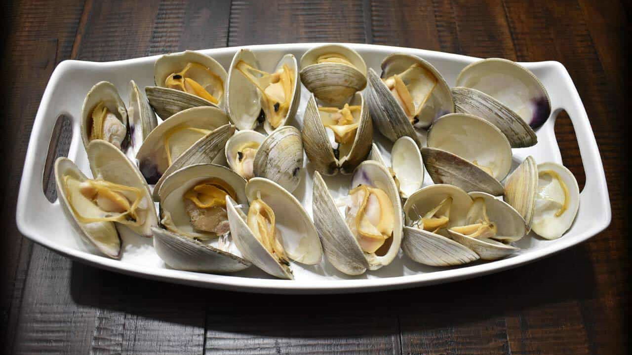 Image of Steamed Clams