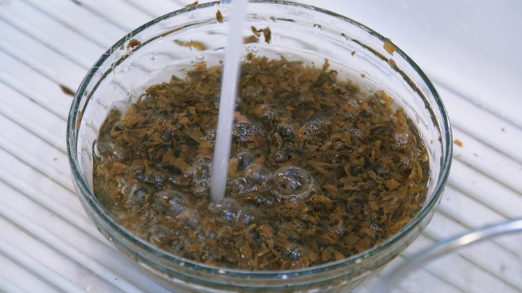 Image of The meigancai should be done soaking. Pour the water and rinse it several times to remove the sodium. Squeeze to eliminate the excess water.