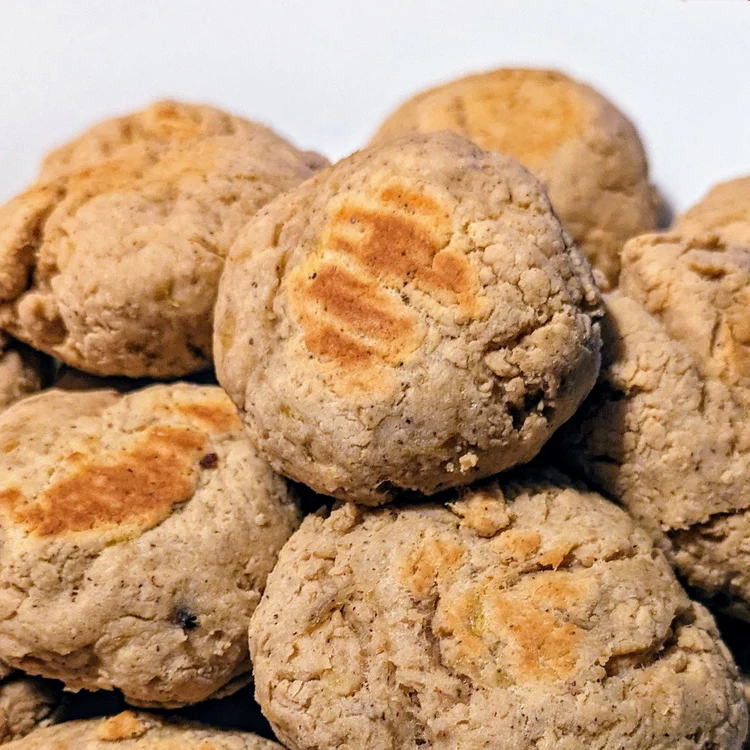 Vegan Protein Banana Bites
