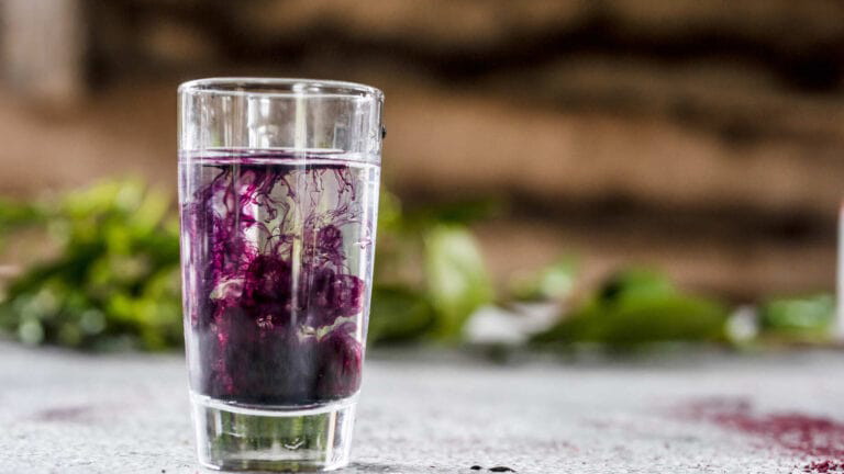 Image of Revitalizing Maqui Berry Energy Drink Recipe