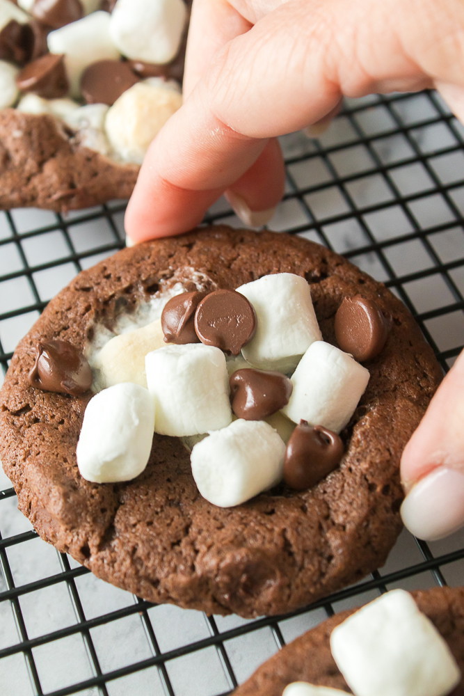Hot Chocolate Cookies