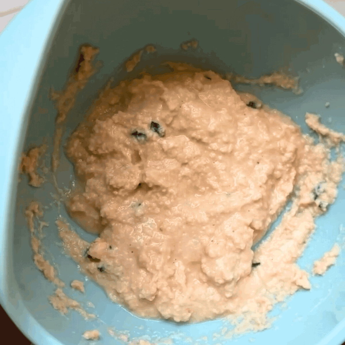 No Cook Salmon and Cream Cheese Puree