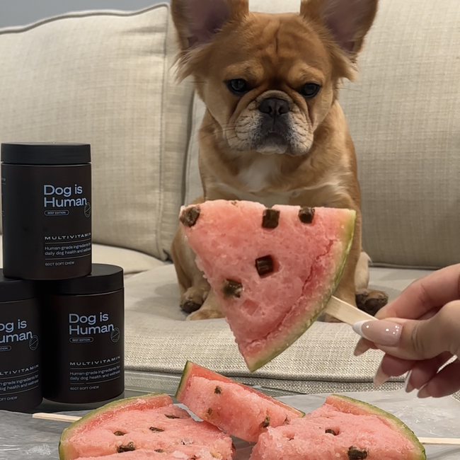 Image of 🍉Watermelon Pupsicles